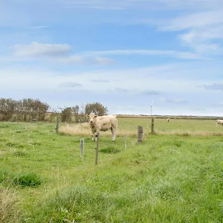4 Bedroom In Harboore *