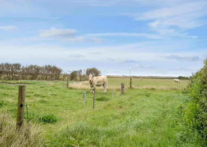4 Bedroom In Harboore *